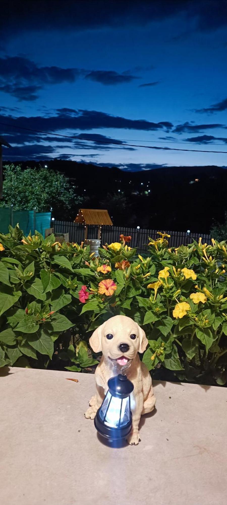 Casuta Din Livada Villa Secaria Bagian luar foto